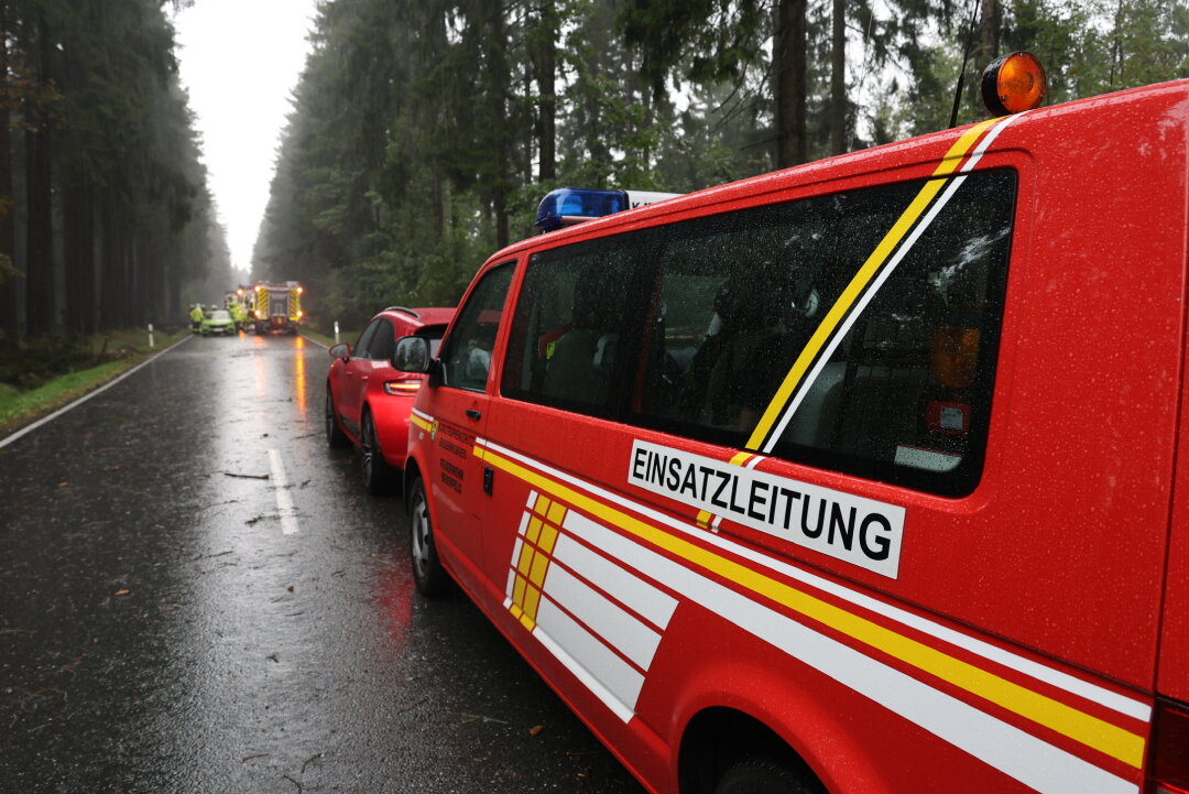 Moped gegen herabgestürzten Baum gefahren und Autos eingeschlossen: Verletzte in Grünhain-Beierfeld - In Grünhain wurden mehrere Bäume umgehauen auf der S270 zwischen Grünhain und Zwönitz. Mehrere Autos standen zwischen den umgefallenen Bäumen und konnten weder vor noch zurück. 