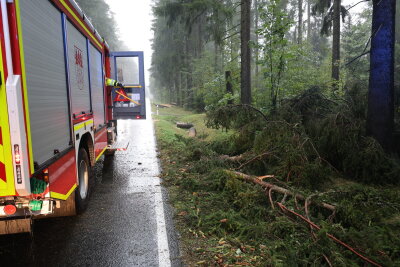 Moped gegen herabgestürzten Baum gefahren und Autos eingeschlossen: Verletzte in Grünhain-Beierfeld - In Grünhain wurden mehrere Bäume umgehauen auf der S270 zwischen Grünhain und Zwönitz. Mehrere Autos standen zwischen den umgefallenen Bäumen und konnten weder vor noch zurück. 