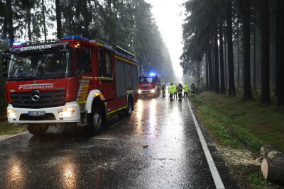 Moped gegen herabgestürzten Baum gefahren und Autos eingeschlossen: Verletzte in Grünhain-Beierfeld - In Grünhain wurden mehrere Bäume umgehauen auf der S270 zwischen Grünhain und Zwönitz. Mehrere Autos standen zwischen den umgefallenen Bäumen und konnten weder vor noch zurück. 