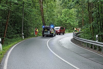 Motorrad kollidiert nach Sturz mit zwei Autos -  Am Samstag kam es gegen 14.20 Uhr auf der S 192, zwischen Grumbach und Tharandt zu einem Verkehrsunfall. Foto: Roland Halkasch