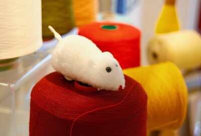 Museumstag bietet Aktion für Kinder und neue Ausstellung mit Märchen und Redensarten - Hier beißt die Maus (noch) keinen Faden ab. Foto: Markus Pfeifer