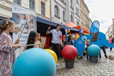 Musik, Kunst und Genuss: Bergstadtfest Freiberg in voller Blüte - Kinder und Familienwelt auf der Weingasse. Foto: Marcel Schlenkrich