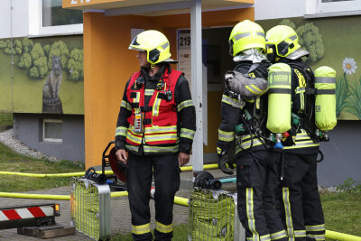 Die Einsatzkräfte im Einsatz. Foto: Harry Härtel