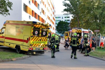 Die Einsatzkräfte im Einsatz. Foto: Harry Härtel