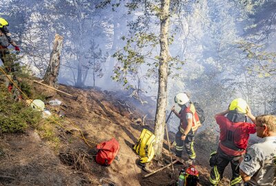 Nach Großbrand auf Pfaffenstein: Tatverdächtigen gestellt - Am Sonntagmorgen ist auf dem Pfaffenstein, im Naturschutzgebiet in der Sächsischen Schweiz ein Waldbrand ausgebrochen. Foto: Marko Förster