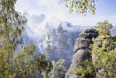 Nach Großbrand auf Pfaffenstein: Tatverdächtigen gestellt - Am Sonntagmorgen ist auf dem Pfaffenstein, im Naturschutzgebiet in der Sächsischen Schweiz ein Waldbrand ausgebrochen. Foto: Marko Förster