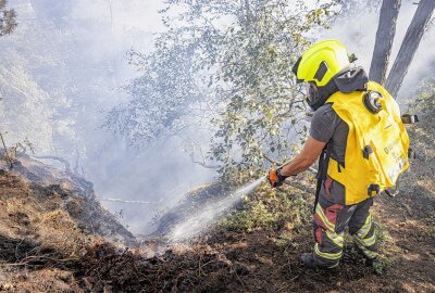 Nach Großbrand auf Pfaffenstein: Tatverdächtigen gestellt - Mehr als 100 Einsatzkräfte der umliegenden Feuerwehren sind mit der Bekämpfung des Brandes beschäftigt. Foto: Marko Förster