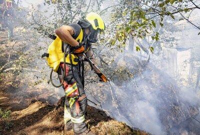 Nach Großbrand auf Pfaffenstein: Tatverdächtigen gestellt - Mehr als 100 Einsatzkräfte der umliegenden Feuerwehren sind mit der Bekämpfung des Brandes beschäftigt. Foto: Marko Förster