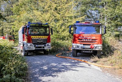 Nach Großbrand auf Pfaffenstein: Tatverdächtigen gestellt - Mehr als 100 Einsatzkräfte der umliegenden Feuerwehren sind mit der Bekämpfung des Brandes beschäftigt. Foto: Marko Förster