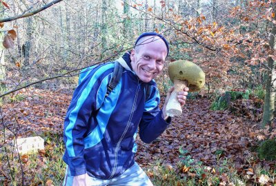 Nach spektakulärem Fund in Mittelsachsen: Meldung aus der Pfalz über Riesen-Steinpilz - Bei der Pilzsuche. Foto: Privat