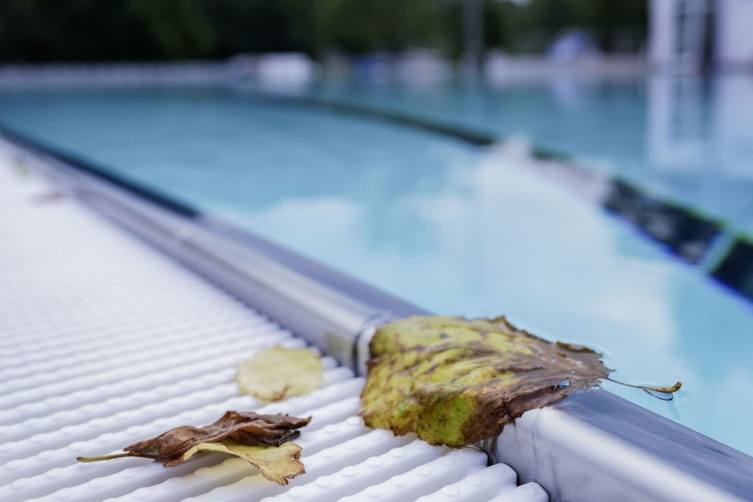 Nachbar soll für herübergewehtes Laub zahlen - geht das? - Wer einen Pool unter Nachbars Eichen baut, kann keine Entschädigung für den Laubfall verlangen.