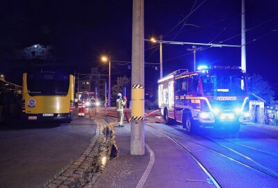 Nächtlicher Brand in Dresden: Gartenlaube steht in Flammen - Mit zwei Strahlrohren, Wasser und Schaum bekämpften die Feuerwehrleute den Brand von zwei Seiten. Foto: Roland Halkasch