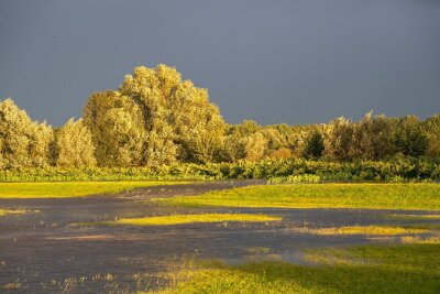 Nächtlicher Einsatz in Görlitz: Hochwasser erreicht die Altstadt - Zahlreiche Felder wurden überflutet. Foto: xcitepress