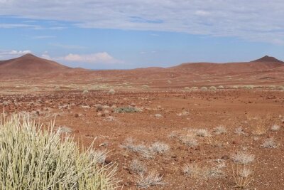 Namibia: Wie Tierschutz und Tourismus zusammenhängen - Nach der Namib wurde der Staat Namibia benannt. Sie ist die älteste Wüste der Welt.