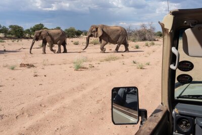 Namibia: Wie Tierschutz und Tourismus zusammenhängen - Touristen dürfen die Teams bei Ausfahrten begleiten: unterwegs mit "Elephant Human Relations Aid".