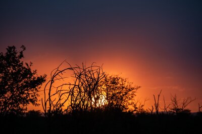 Namibia: Wie Tierschutz und Tourismus zusammenhängen - Sonnenuntergang im Ongava Game Reserve am Rand des Nationalpark Etosha.