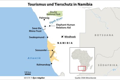 Namibia: Wie Tierschutz und Tourismus zusammenhängen - In Namibia kämpfen Wildschutzorganisationen um den Erhalt gefährdeter Arten. An den Expeditionen dürfen zahlende Gäste teilnehmen.