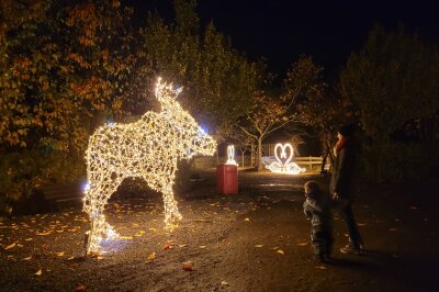 sonnenlandparkwinterzaubereröffnungwochenendefeiertaggeöffnetlichtenaukindfamilieeintrittessenschlittschuhlaufenausflugstipps