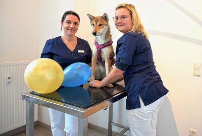 Neue Notfallambulanz für Vierbeiner in Leipzig eröffnet - Sara Pfeifer (li) und ihre Kollegin Nicole Schreiter kümmern sich ab sofort nachts, feiertags und am Wochenende in der Messestadt um tierische Notfälle. Foto: Anke Brod