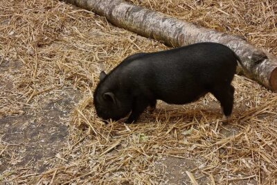 Neues aus dem Tierpark. Foto: Lena Hentsch