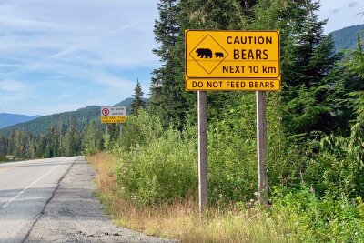 Outdoor-Urlaub: Wie man Begegnungen mit Bären vermeidet - "Bitte nicht füttern": Dieses Schild im kanadischen Whistler (British Columbia) weist auf Bären hin.