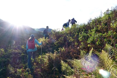 Outdoor-Urlaub: Wie man Begegnungen mit Bären vermeidet - Abseits der Wege geht es durch die Wildnis Alaskas. Bestenfalls ist man in kleinen Gruppen unterwegs, um mit Geräuschen auf sich aufmerksam zu machen und Bären nicht zu überraschen.