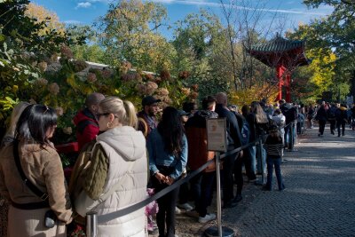 Panda-Babys: Zehntausende besuchen den Berliner Zoo - Manch ein Panda-Fan stellt sich sogar zwei Mal in die Schlange.