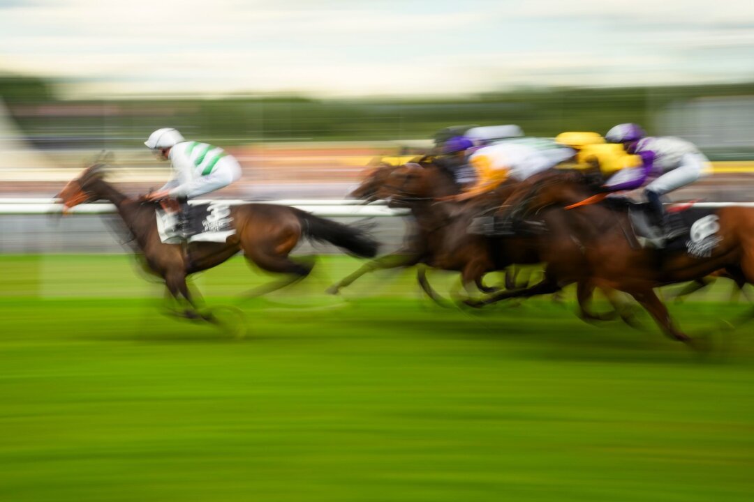 Pferderennen in Frankreich werden bestreikt - Mit Plänen für höhere Wettsteuern bringt die Pariser Regierung die Reitsportbranche gegen sich auf (Archivbild).