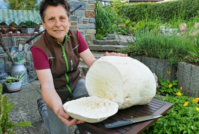 Pilzsammlerin aus Börnichen entdeckt riesigen Riesenbovist - Um ihn in der Küche zuzubereiten, schneidet Anett Walther den Riesenbovist in Scheiben. Foto: Andreas Bauer