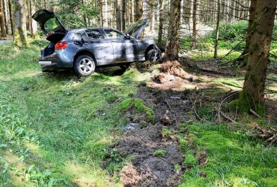 PKW prallt gegen Baum: Fahrerin bei Unfall auf S274 verletzt - Am Donnerstagnachmittag kam es auf der S274 zu einem Verkehrsunfall. Foto: Niko Mutschmann