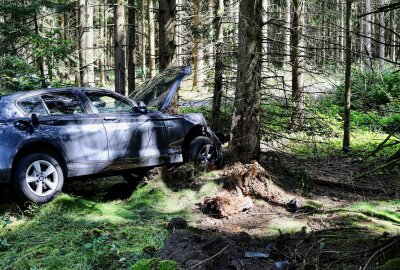 PKW prallt gegen Baum: Fahrerin bei Unfall auf S274 verletzt - Am Donnerstagnachmittag kam es auf der S274 zu einem Verkehrsunfall. Foto: Niko Mutschmann