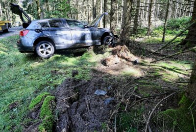 PKW prallt gegen Baum: Fahrerin bei Unfall auf S274 verletzt - Am Donnerstagnachmittag kam es auf der S274 zu einem Verkehrsunfall. Foto: Niko Mutschmann