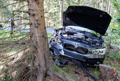 PKW prallt gegen Baum: Fahrerin bei Unfall auf S274 verletzt - Am Donnerstagnachmittag kam es auf der S274 zu einem Verkehrsunfall. Foto: Niko Mutschmann