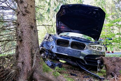 PKW prallt gegen Baum: Fahrerin bei Unfall auf S274 verletzt - Am Donnerstagnachmittag kam es auf der S274 zu einem Verkehrsunfall. Foto: Niko Mutschmann