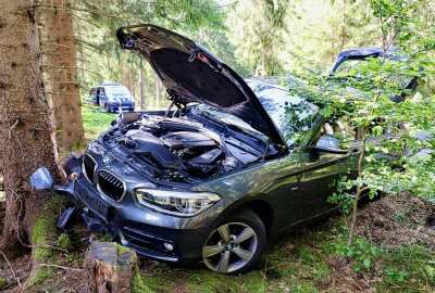 PKW prallt gegen Baum: Fahrerin bei Unfall auf S274 verletzt - Am Donnerstagnachmittag kam es auf der S274 zu einem Verkehrsunfall. Foto: Niko Mutschmann