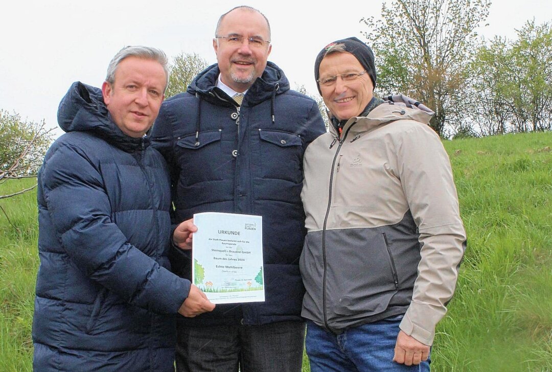 Plauen meldet Neuzugang: Mehlbeere bereichert Baum-des-Jahres-Lehrpfad - Oberbürgermeister Steffen Zenner (Mitte) überreichte an die Sternquell-Geschäftsführer Jan Gerbeth (links) und Günther Spindler (rechts) die Spenderurkunde überreicht. Foto: Pressebüro Repert