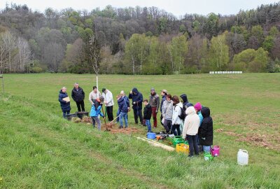 Plauen meldet Neuzugang: Mehlbeere bereichert Baum-des-Jahres-Lehrpfad - Diesmal haben die Verantwortlichen eine Mehlbeere am "Pfad der Bäume des Jahres" eingesetzt. Foto: Pressebüro Repert