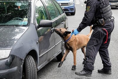 Polizei kontrolliert in Chemnitz: Drogenerkennung im Straßenverkehr - Das war zugleich der praktische Teil einer Fortbildung für Polizeibeamte zu "Drogenerkennung im Straßenverkehr".Foto: Harry Härtel