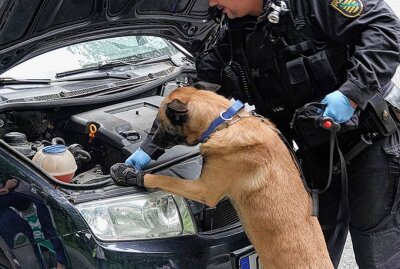 Polizei kontrolliert in Chemnitz: Drogenerkennung im Straßenverkehr - Das war zugleich der praktische Teil einer Fortbildung für Polizeibeamte zu "Drogenerkennung im Straßenverkehr". Foto: Harry Härtel