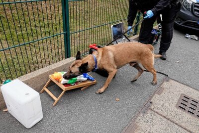 Polizei kontrolliert in Chemnitz: Drogenerkennung im Straßenverkehr - Das war zugleich der praktische Teil einer Fortbildung für Polizeibeamte zu "Drogenerkennung im Straßenverkehr". Foto: Harry Härtel