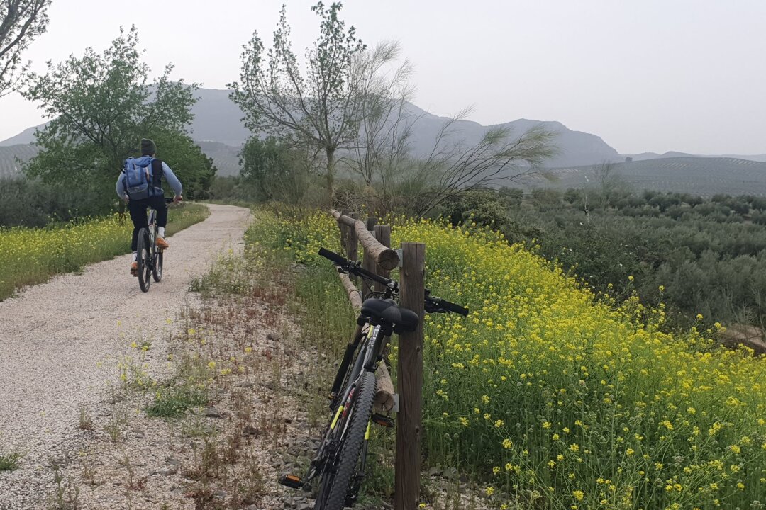 Radeln in Spanien: Unterwegs auf dem Olivenölweg - Radeln, wo einst Schienen lagen: auf der Vía Verde del Aceite.