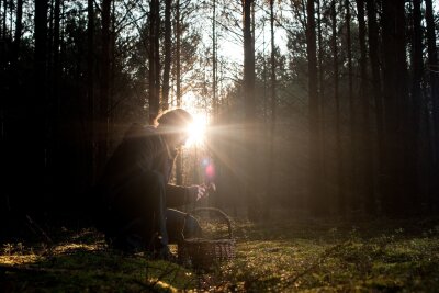 Radioaktives Cäsium-137: Wie belastet sind Pilze im Wald? - Die Menge macht's: Ein maßvoller Verzehr von Pilzen ist überall in Deutschland unbedenklich.