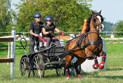 Reichlich 200 Reiter und Kutschenfahrer trotzen in Weißbach der Hitze - Die Prüfungen für die Gespanne gehörten zu den Attraktionen des Turniers. Foto: Andreas Bauer