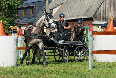 Reichlich 200 Reiter und Kutschenfahrer trotzen in Weißbach der Hitze - Für die Kutschenfahrer galt es, den Parcours möglichst schnell und ohne Berührung er Hindernisse zu meistern. Foto: Andreas Bauer