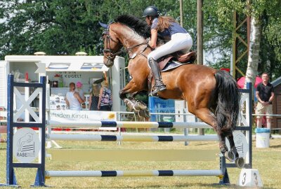 Reichlich 200 Reiter und Kutschenfahrer trotzen in Weißbach der Hitze - Springprüfungen gab es an allen drei Tagen. Foto: Andreas Bauer