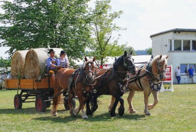 Reichlich 200 Reiter und Kutschenfahrer trotzen in Weißbach der Hitze - Zum Rahmenprogramm gehörten neben dem Reiterball am Samstagabend auch kleine Schauvorführungen. Foto: Andreas Bauer