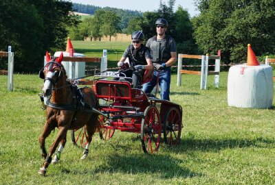 Reichlich 200 Reiter und Kutschenfahrer trotzen in Weißbach der Hitze - Nach dem Dressur- und Kegelfahren waren die Gespanne zum Abschluss im Geländefahren gefordert. Foto: Andreas Bauer