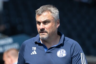 Reis über Schalke: "Trainer auch mal das Vertrauen schenken" - Thomas Reis wünscht sich auf Schalke mehr Geduld mit Trainern.