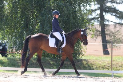 Reiterball, Schalmeien und beeindruckende Leistungen: Ein Rückblick auf das Reitturnier in Langenstriegis - Celina Müller mit Farah in einer Dressurprüfung Klasse A.