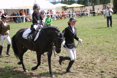 Reiternachwuchs in Langenstriegis beständig erfolgreich - Die junge, fünfjährige Karline Hopf war mit dem Pony Lakritz dieses Jahr schon erfolgreich in Führzügelwettbewerben unterwegs.